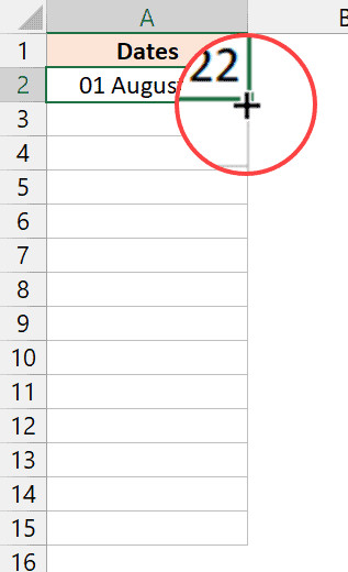 Biểu tượng dấu cộng xuất hiện khi đặt con trỏ ở góc dưới bên phải ô chọn