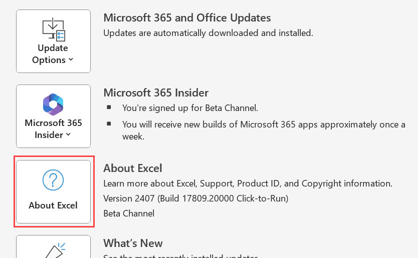 Nhấn vào nút About Excel để xem thông tin chi tiết về phiên bản và mã build