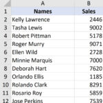 Vertical Dataset to Flip